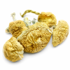 Alacabenzi Magic Mushrooms