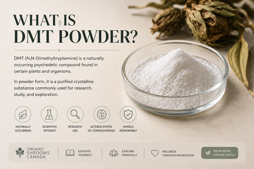 What is DMT Powder? Uses, Effects, and Safety