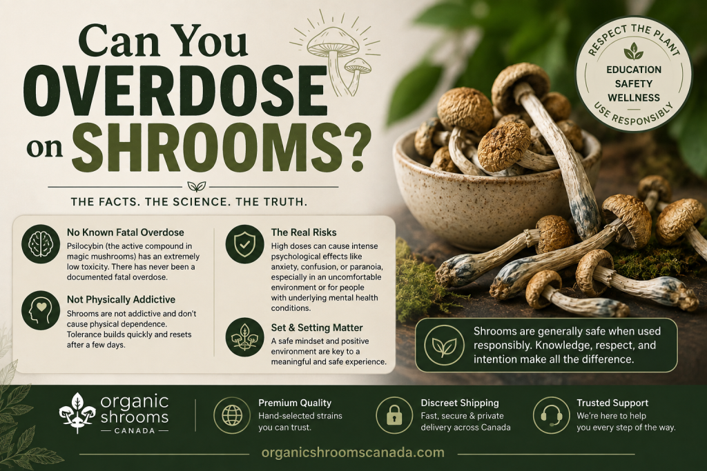 Can You Overdose on Shrooms
