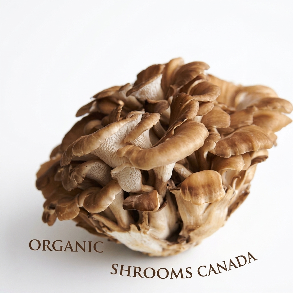 Organic Maitake mushrooms