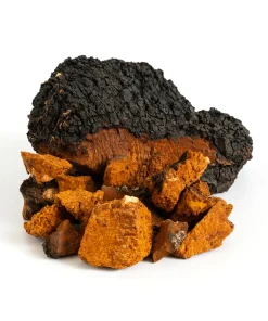 Chaga Mushrooms